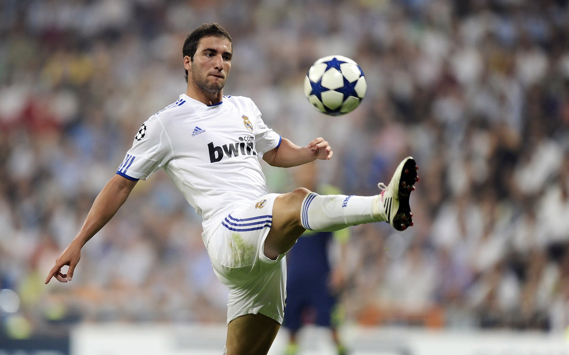 开云体育中国官网-勒克莱尔统治全场，红牛二队轻取雷诺车队