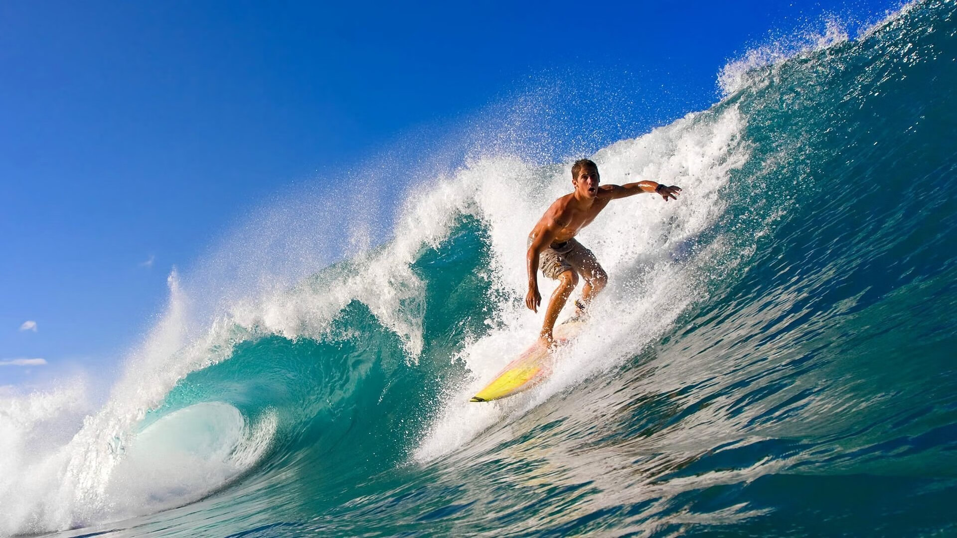 开云体育登录-绝杀与统治，平行宇宙里的子弹与蝴蝶